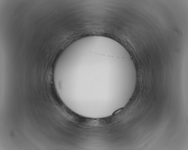 X0000110960083200906191058