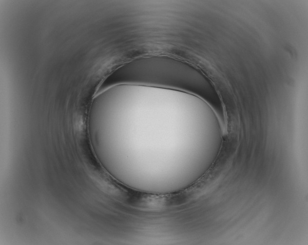 X0000110960084200906191058