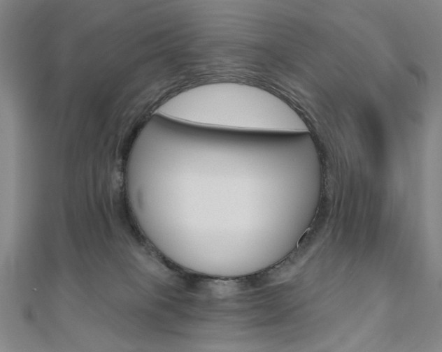 X0000110960085200906191058