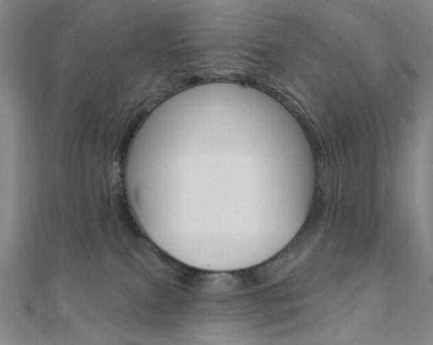X0000110960087200906191058