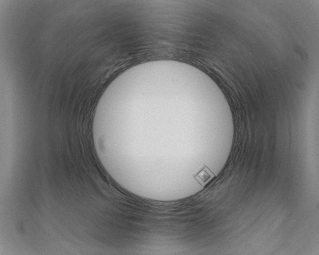 X0000110960088200906191058