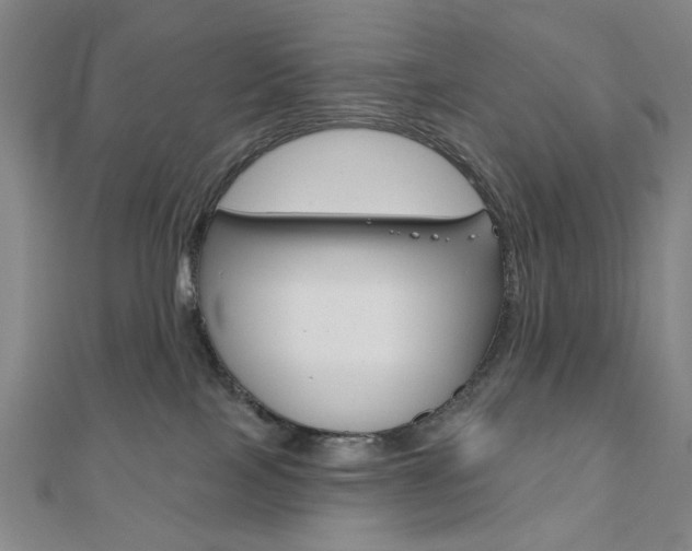 X0000110960089200906191058
