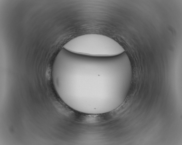 X0000110960090200906191058