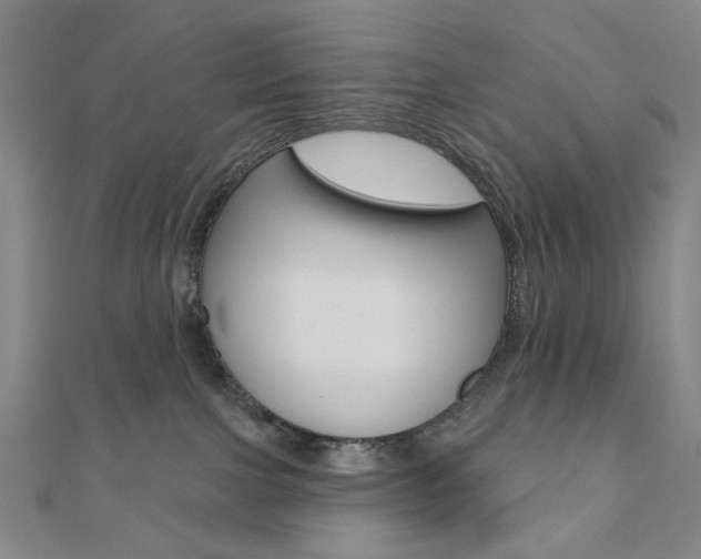 X0000110960091200906191058