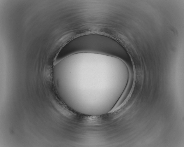 X0000110960092200906191058