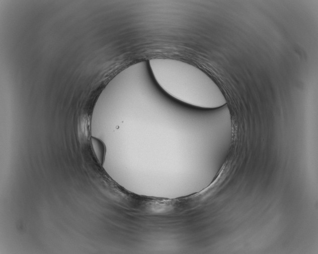 X0000110960094200906191059