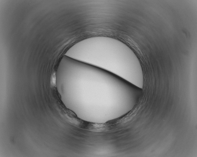 X0000110960095200906191059