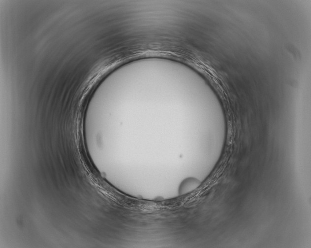 X0000110960098200906191058