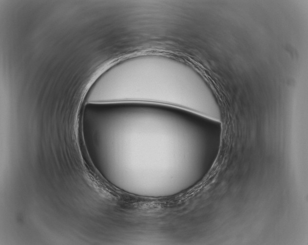 X0000110960100200906191058