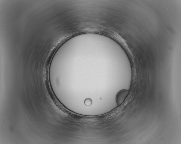 X0000110960106200906191058