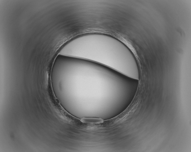 X0000110960109200906191058