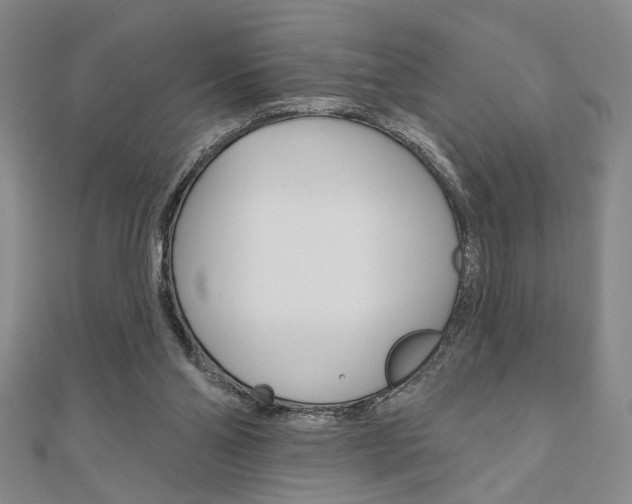 X0000110960110200906191058