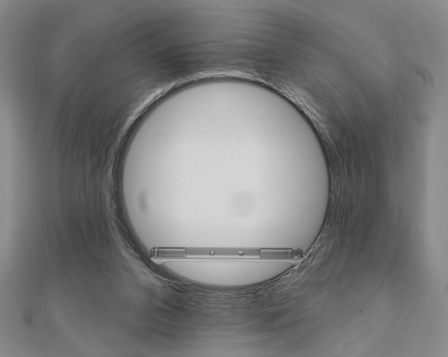 X0000110960112200906191058