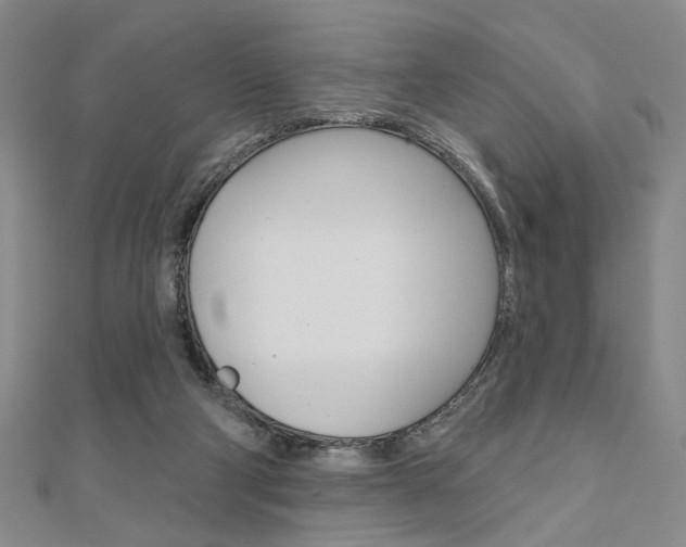 X0000110960114200906191058