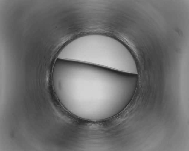 X0000110960115200906191058