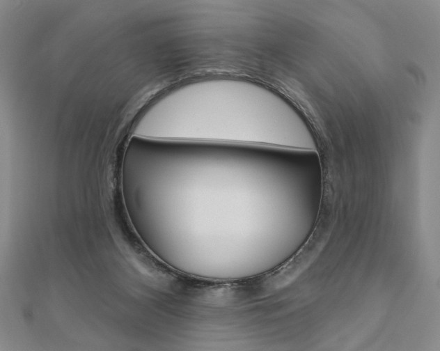 X0000110960116200906191058