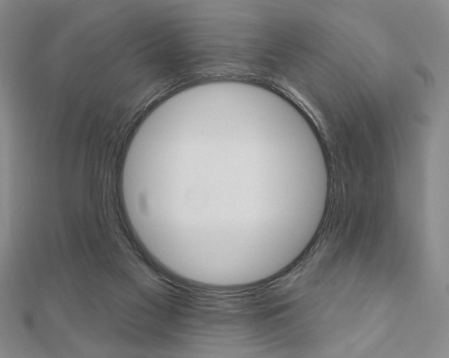 X0000110960117200906191058