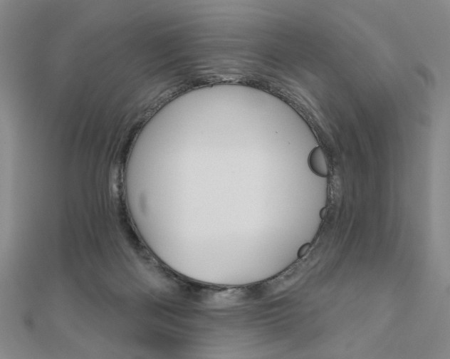 X0000110960122200906191058