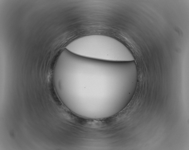 X0000110960125200906191058