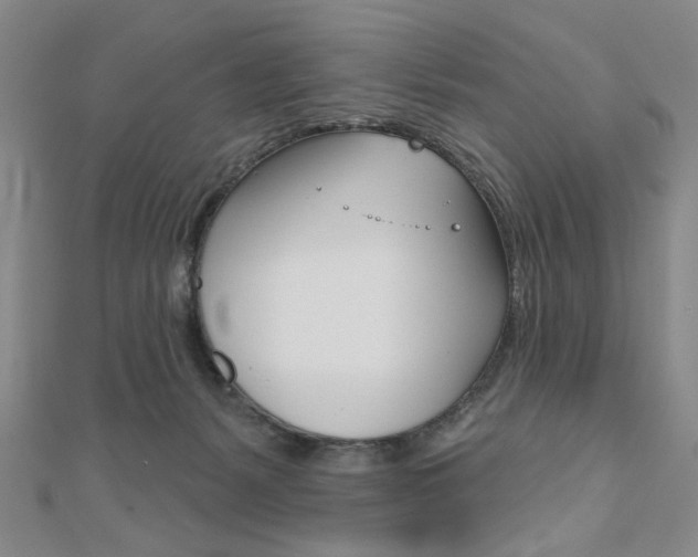 X0000110960127200906191058