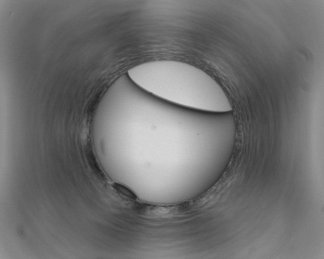 X0000110960129200906191058