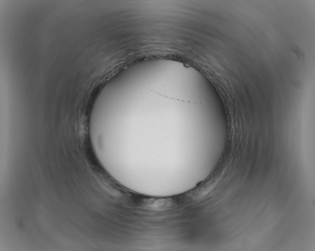 X0000110960135200906191057