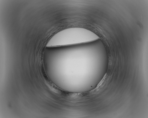 X0000110960136200906191057