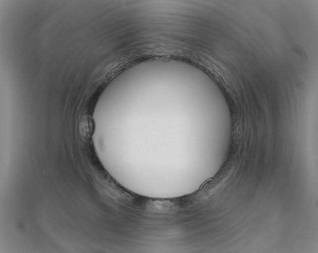 X0000110960137200906191057