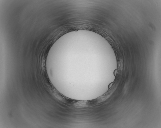 X0000110960138200906191057