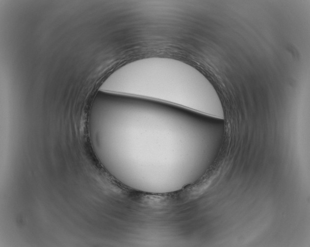 X0000110960139200906191057