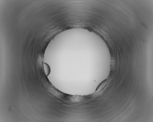 X0000110960142200906191057