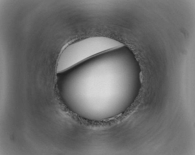 X0000110960144200906191057