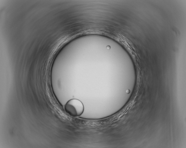 X0000110960145200906191057