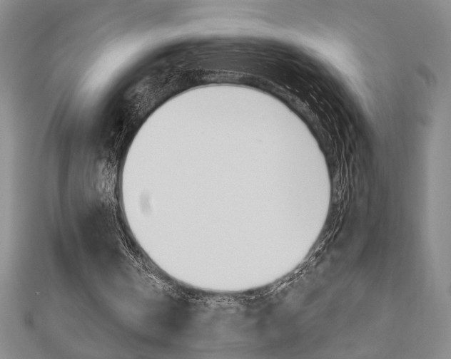 X0000110960146200906191057