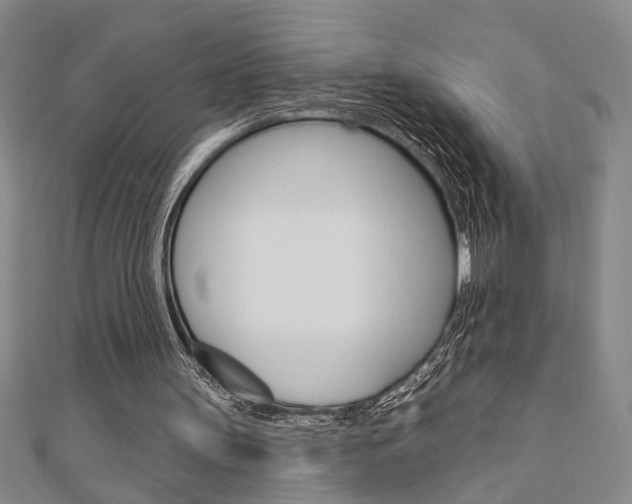 X0000110960147200906191057