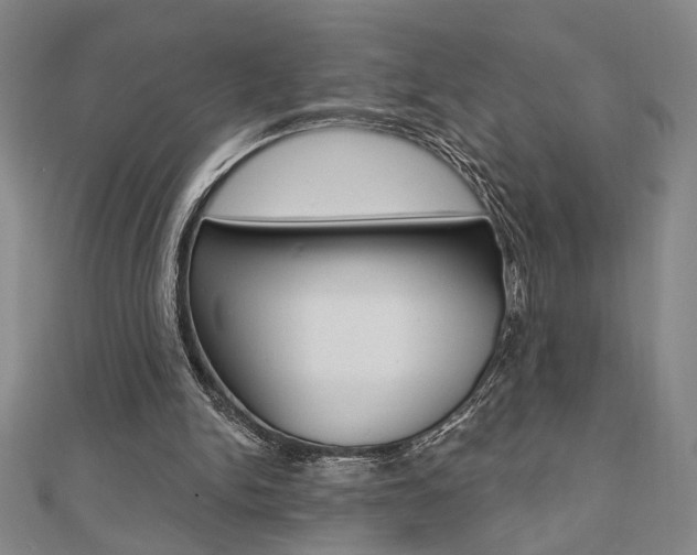 X0000110960150200906191057