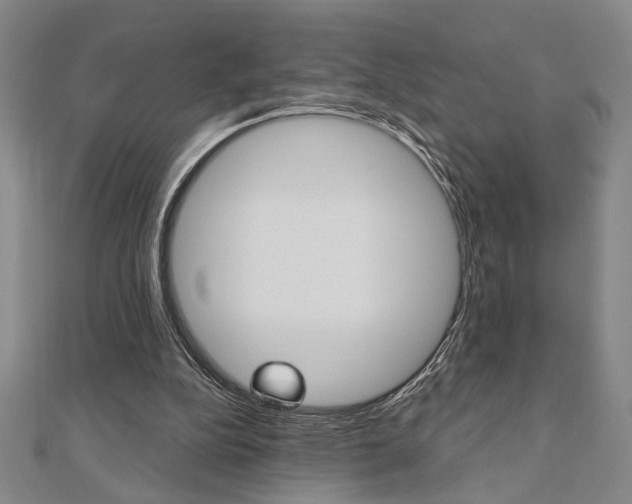 X0000110960152200906191057