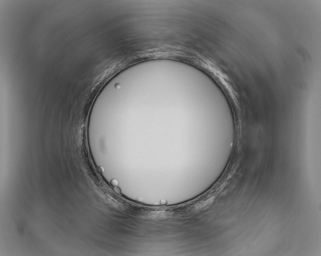 X0000110960153200906191057
