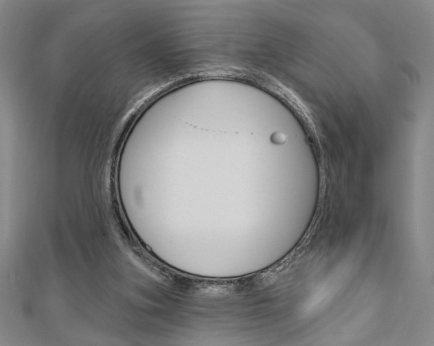 X0000110960155200906191057