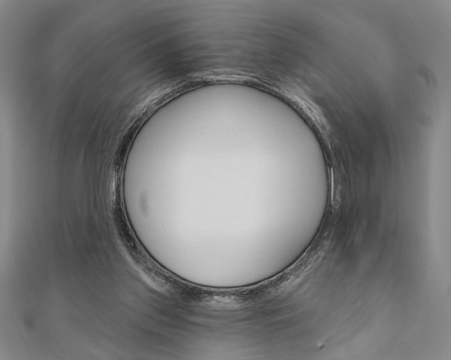 X0000110960157200906191057