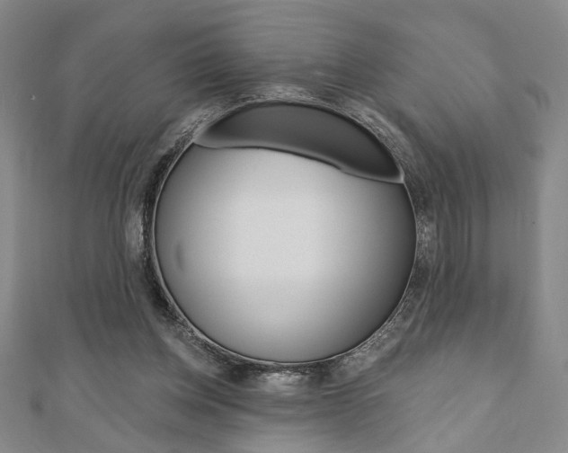 X0000110960158200906191057