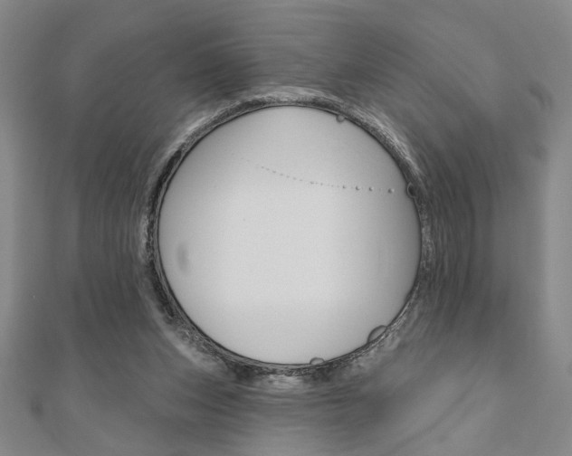 X0000110960159200906191057