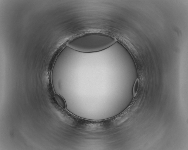 X0000110960160200906191057
