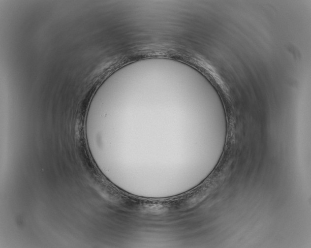 X0000110960161200906191057