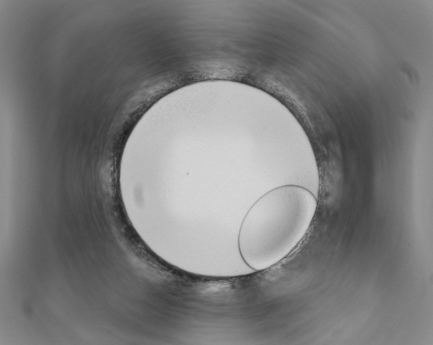 X0000110960162200906191057