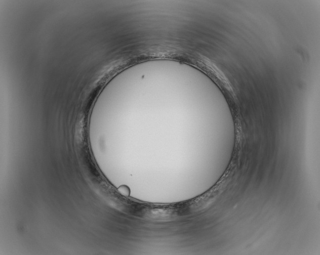 X0000110960163200906191057