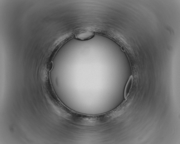 X0000110960164200906191057
