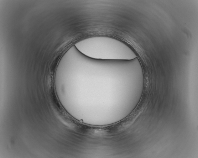 X0000110960165200906191057