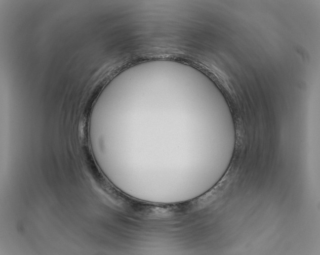 X0000110960166200906191057