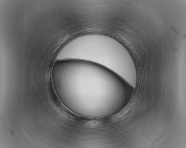X0000110960168200906191057